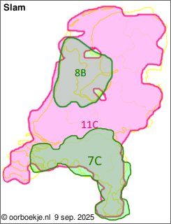 in heel Nederland op kanaal 11C
in Noord-Brabant en Limburg op kanaal 7C
in Noord-Holland en Flevoland op kanaal 8B